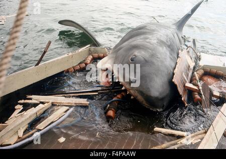 Jaws 1975 réalisé par Steven Spielberg Banque D'Images