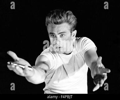 James Dean / le rebelle sans cause 1955 réalisé par Nicolas Ray Banque D'Images