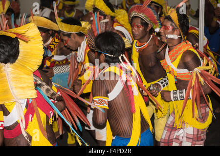 Palmas, Brésil. 20 Oct, 2015. Guerriers Kayapo du lointain village de Gorotire habillés de plumes et de perles coiffe traditionnelle au cours d'une présentation de danse culturelle à la toute première International Indigenous Games, dans la ville de Palmas, Tocantins, Brésil l'État. Les jeux vont commencer avec une cérémonie d'ouverture le vendredi 23 octobre. Credit : Sue Cunningham/Photographique Alamy Live News Banque D'Images