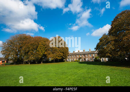 Couleurs automnales sur les arbres de Salisbury Field à Dorchester, Dorset, UK sur une magnifique journée d'automne. Banque D'Images