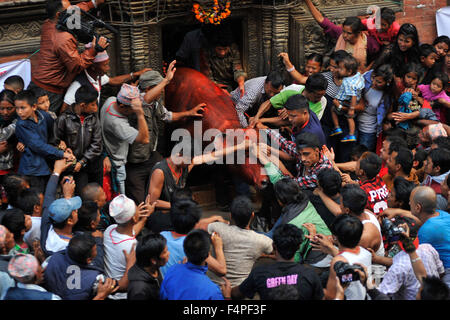 Katmandou, Népal. 21 Oct, 2015. Les dévots tenant la corde de la buffalo sacrificiel à sortir de Nava Durga Temple pour la procession sacrificielle à l'occasion du plus grand festival de Dashain à Bhaktapur. Dashain est le plus propice et le plus grand festival célébré au Népal, qui reflète les traditions anciennes et la dévotion de la communauté népalaise en direction de la Déesse Durga. Credit : Narayan Maharjan/Pacific Press/Alamy Live News Banque D'Images