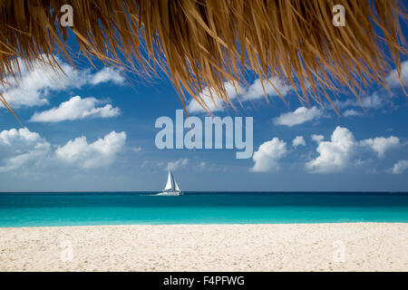 Voilier au large de la plage d'Eagle Beach, Aruba, Antilles Banque D'Images