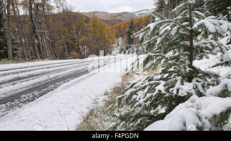 Usa. 21 Oct, 2015. La tempête qui traverse le nord du Nouveau Mexique a laissé plusieurs pouces de neige à haute altitude des montagnes Sangre de Cristo et Hyde Park Road, le mercredi 21 octobre, 2015. © Eddie Moore/Albuquerque Journal/ZUMA/Alamy Fil Live News Banque D'Images