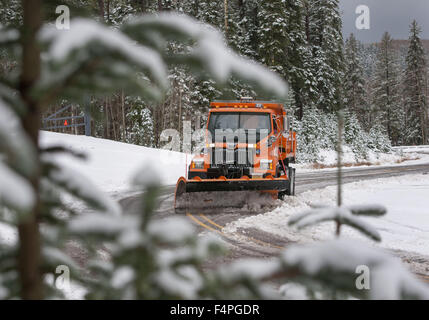 Usa. 21 Oct, 2015. La tempête qui traverse le nord du Nouveau Mexique a laissé plusieurs pouces de neige à haute altitude des montagnes Sangre de Cristo, le mercredi 21 octobre, 2015. Les chasse-neige étaient des opérations de compensation de Hyde Park Road à proximité des pistes de Santa Fe. © Eddie Moore/Albuquerque Journal/ZUMA/Alamy Fil Live News Banque D'Images