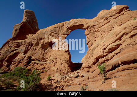 Tourelle Arch Arches National Park Utah Banque D'Images