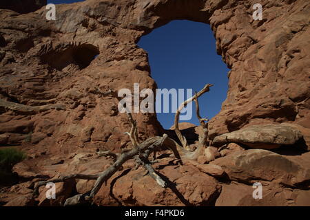 Tourelle Arch Arches National Park Utah Banque D'Images