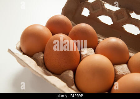 Oeufs frais fermiers dans le papier recyclé carton. Banque D'Images