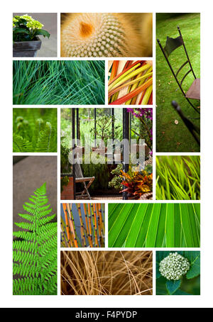 Les plantes, les jardins et la végétation sur un collage Banque D'Images