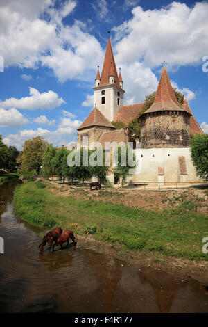 Église fortifiée de Grossau, construit en 1498. Cristian, dt ou Grossau Grossau, Saxon : Grissau est, un village de Transylvanie, Roumanie Banque D'Images