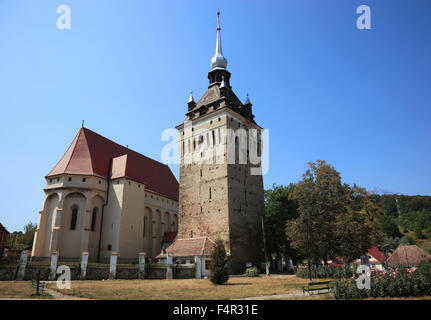 Église protestante construite dans le style gothique de 1496 à Saschiz, est un village de Transylvanie, Roumanie Banque D'Images