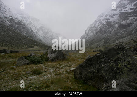 La Suisse, l'Europe, Grisons, Grisons, Vals, Länta, valley, cascade, brouillard, automne, hiver, neige, brouillard Banque D'Images