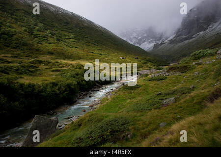 La Suisse, l'Europe, Grisons, Grisons, Vals, Länta, vallée, la société valser, Rhin, Brook, meadow, automne, brouillard, sunray Banque D'Images