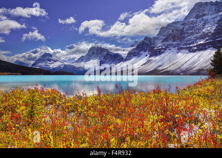 Le lac Emerald, Yoho, Jasper, parc national, la Colombie-Britannique, l'été, lac, province, Pont naturel Canyon, canyonwater, rivière, Banque D'Images