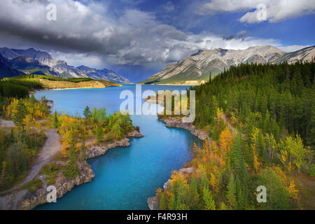 Le lac Emerald, Yoho, Jasper, parc national, la Colombie-Britannique, l'été, le coucher du soleil, les fleurs sauvages, fleurs, lac, province, les Bridg Banque D'Images