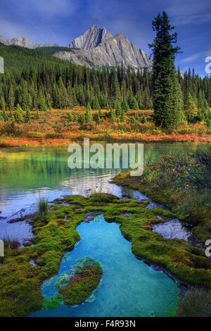 Le lac Emerald, Yoho, Jasper, parc national, la Colombie-Britannique, l'été, le coucher du soleil, Lake Province, pont naturel, Canyon, canyonwater Banque D'Images