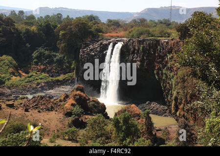 Région Amhara, la cascade du Nil Bleu, dans les hauts plateaux d'Abyssinie, du Nil Bleu, Cascade Tis Issat Banque D'Images