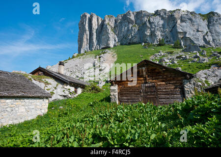 Leysin, montagne, montagnes, chalet, Vaud, VD, Alpes vaudoises, Alpes Vaudoises, Alpes, Suisse, l'été Banque D'Images