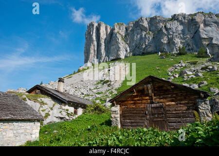 Leysin, montagne, montagnes, chalet, Vaud, VD, Alpes vaudoises, Alpes Vaudoises, Alpes, Suisse, l'été Banque D'Images