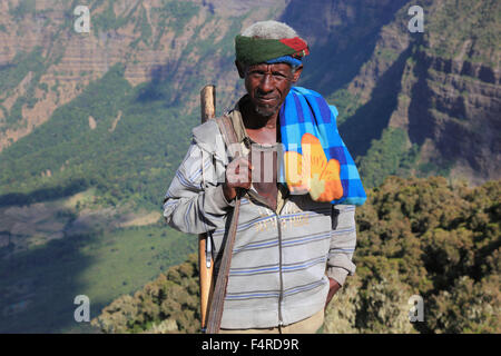 Dans les hauts plateaux de l'Abyssinie, dans les montagnes du Simien, paysage dans le parc national des montagnes du Simien, Guardian, compagnon, Banque D'Images