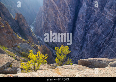 USA, États-Unis, Amérique, Colorado, Black Canyon, Canyon, Gunnison, Parc National, canyon, vertical, rivière, gorge profonde, Banque D'Images