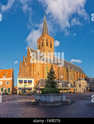 Pays-bas, la Hollande, l'Europe, de l'église, monastère, hiver, arbre de Noël, Sint Joris, église, Amersfoort, Utrecht Banque D'Images