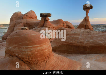 USA, Utah, Grand Staircase Escalante National Monument, Toadstools, Banque D'Images