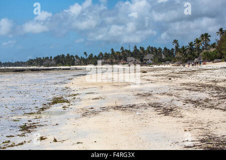 L'Afrique, bas, bas, de la marée, des maisons, des maisons, de l'océan Indien, littoral, paysage, paysage, mer, Voyage, Zanzibar, plage, mer, Tanzanie Banque D'Images