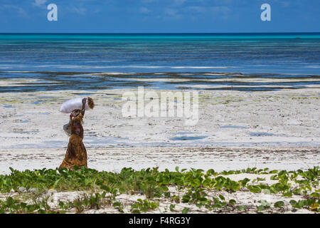 L'Afrique, bas, bas, de la marée, de l'océan Indien, littoral, paysage, paysage, mer, personne, personnes, voyage, Zanzibar, plage, mer, Tanzan Banque D'Images