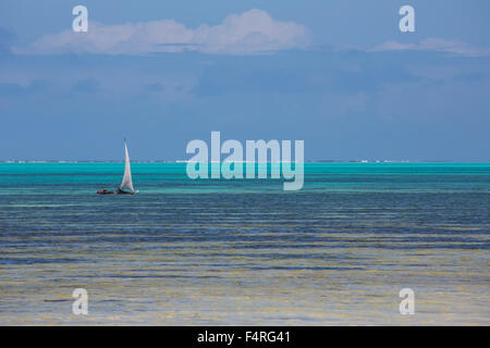 L'Afrique, bas, bas, de la marée, de l'océan Indien, littoral, paysage, paysage, mer, Voyage, Zanzibar, navires, plage, mer, Tanzanie, signifie Banque D'Images