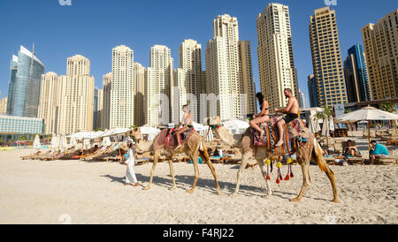 Les touristes à cheval sur la plage au chameau JBR Jumeirah Beach Residences dans la Marina de Dubaï Émirats Arabes Unis Banque D'Images