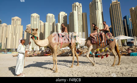 Les touristes à cheval sur la plage au chameau JBR Jumeirah Beach Residences dans la Marina de Dubaï Émirats Arabes Unis Banque D'Images