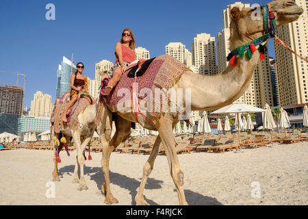 Les touristes à cheval sur la plage au chameau JBR Jumeirah Beach Residences dans la Marina de Dubaï Émirats Arabes Unis Banque D'Images