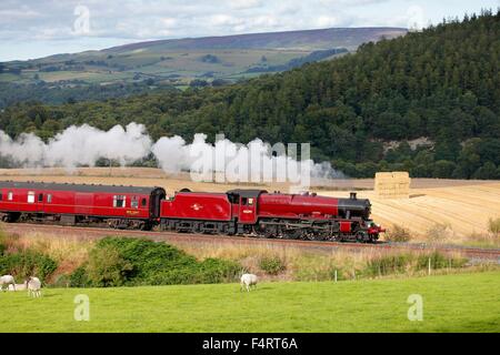 Locomotive vapeur 45699 Classe Jubilee LMS près de Galatea Bois Baron basse ferme, Armathwaite ,Eden Valley, Cumbria, England, UK. Banque D'Images