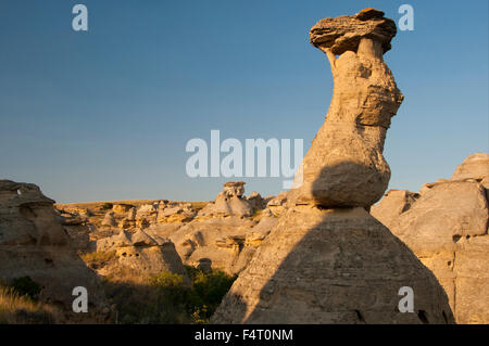 Le Canada, l'Alberta, de l'écriture sur pierre Provincial Park, hoodos Banque D'Images