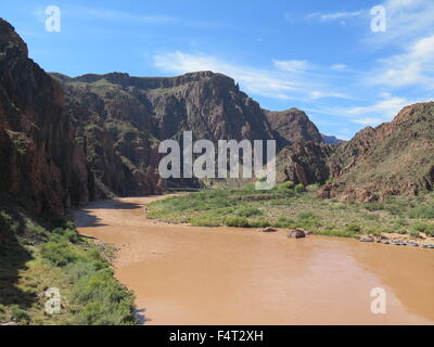 La Rivière Colorado au fond du Grand Canyon Banque D'Images