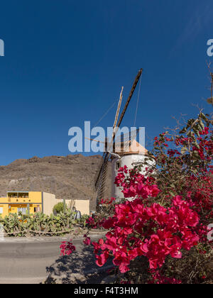 L'Espagne, l'Europe, Mogan, Gran Canaria, Îles Canaries, El Molino de Viento, moulin, ville, village, fleurs, été, montagne, hi Banque D'Images