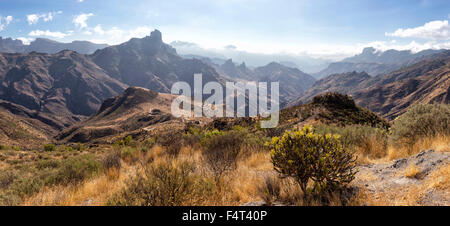 L'Espagne, l'Europe, Tejeda, Gran Canaria, Îles Canaries, Barranco de Tejeda, paysage, été, montagnes, collines, Banque D'Images