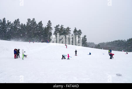 Les gens dans la neige pendant une tempête à foin, une aire de loisirs populaire dans Glenmore Forest Park, les Cairngorms Banque D'Images