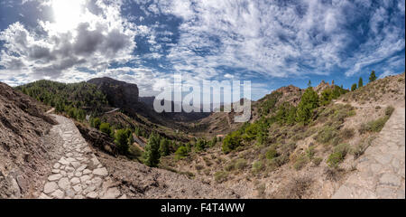 L'Espagne, l'Europe, Tejeda, Gran Canaria, Îles Canaries, sentier de marche à la Roque Nublo, paysage, été, montagnes, collines, Banque D'Images