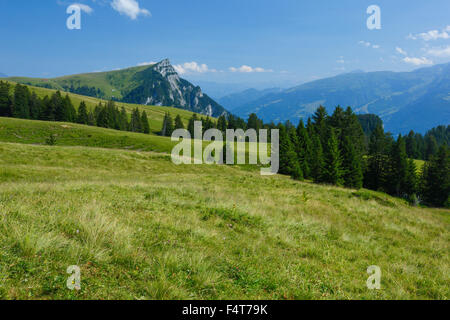 Alp Palfries avec Tschuggen, Saint-Gall, Suisse Banque D'Images