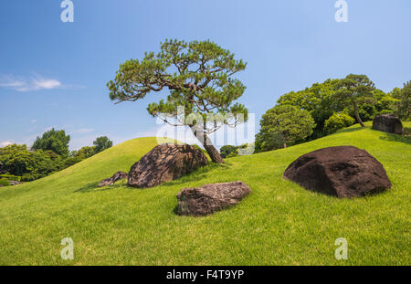 Le Japon, l'île de Kyushu, Kumamoto, ville jardin Suizenji Banque D'Images