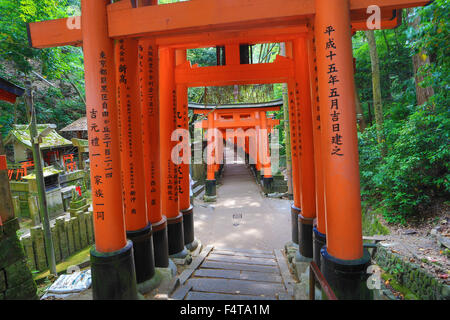 Le Japon, la ville de Kyoto, Fushimi-Inari Taisha, Toriies Banque D'Images