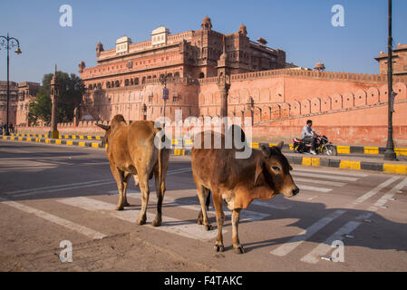 L'Asie, l'Inde, du Rajasthan, Bikaner Junagarh Fort, Banque D'Images