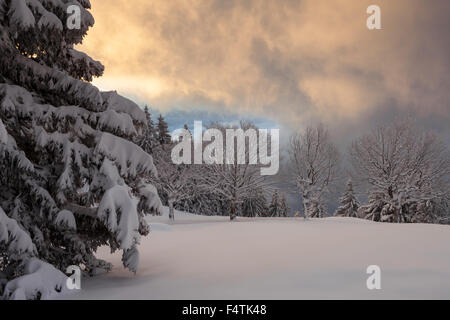 Voir, vista, Rigi bain froid, en Suisse, dans le canton de Lucerne, bois, forêt, hiver, matin, l'humeur, les nuages Banque D'Images