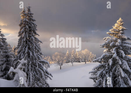 Voir, vista, Rigi bain froid, en Suisse, dans le canton de Lucerne, bois, forêt, hiver, matin, l'humeur, les nuages Banque D'Images