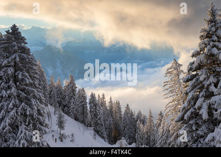 Voir, vista, Rigi bain froid, en Suisse, dans le canton de Lucerne, bois, forêt, hiver, matin, l'humeur, les nuages Banque D'Images