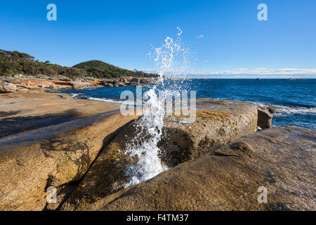 Bicheno évent, l'Australie, la Tasmanie, sur la côte est, dans la mer, côte, vagues, mousse, trou d'eau Banque D'Images