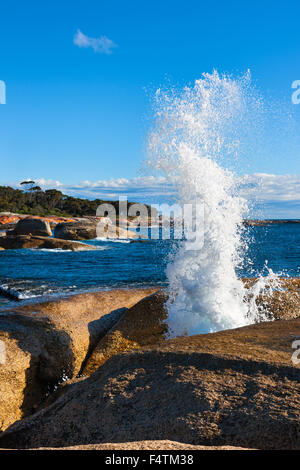 Bicheno évent, l'Australie, la Tasmanie, sur la côte est, dans la mer, côte, vagues, mousse, trou d'eau Banque D'Images