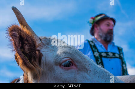 Allgäu Allgäuer, costume national, hat, de bétail, de l'alp Shepherd, barbe, Bavière, Allemagne, agriculteurs de montagne, les collectivités locales, l'Europe, fel Banque D'Images