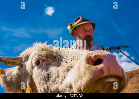 Allgäu Allgäuer, costume national, hat, de bétail, de l'alp Shepherd, barbe, Bavière, Allemagne, agriculteurs de montagne, les collectivités locales, l'Europe, fel Banque D'Images